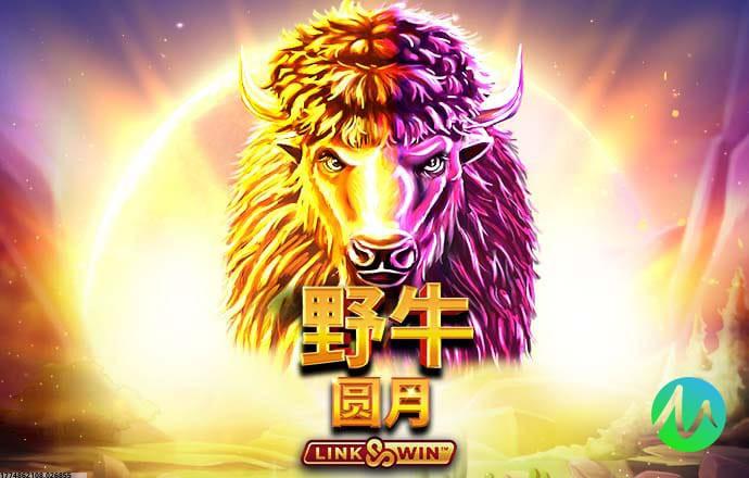 细分用户市场定制